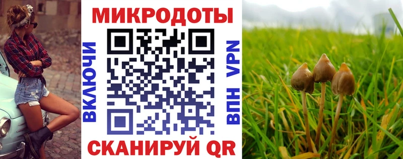 hydra зеркало Белоярский Псилоцибиновые грибы Psilocybe где найти